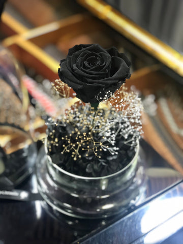 （情人節預訂) 閃耀黑玫瑰花保鮮花禮  永生花 Mid Night Black Rose Preserved Flowers