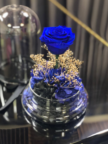 (情人節預訂) 星際夜空藍色大玫瑰保鮮花永生花禮 Mid Night Starry Sky Blue Preserved Flowers