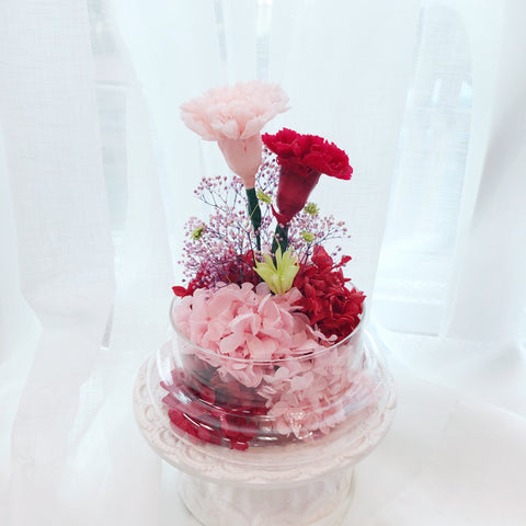 粉紅.大紅母親節康乃馨保鮮花 永生花 禮 œillet Carnation Preserved Flowers