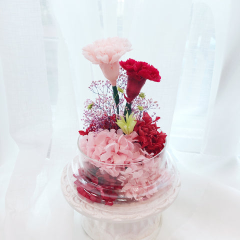 粉紅.大紅母親節康乃馨保鮮花 永生花 禮 œillet Carnation Preserved Flowers